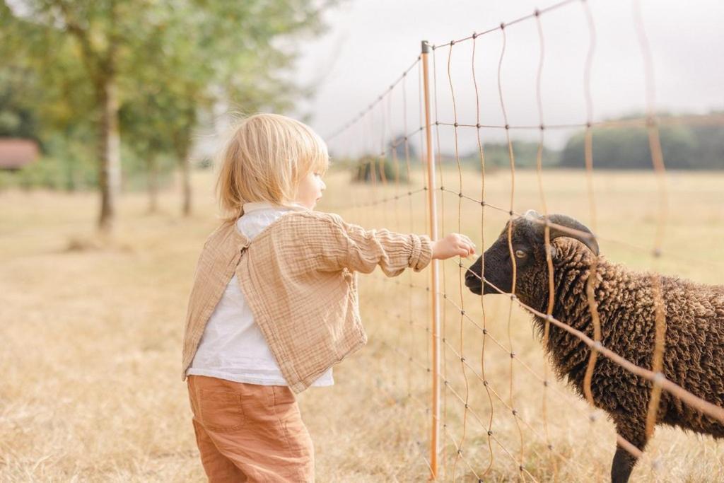 فندق Domaine De L'Oiseliere Chauché المظهر الخارجي الصورة